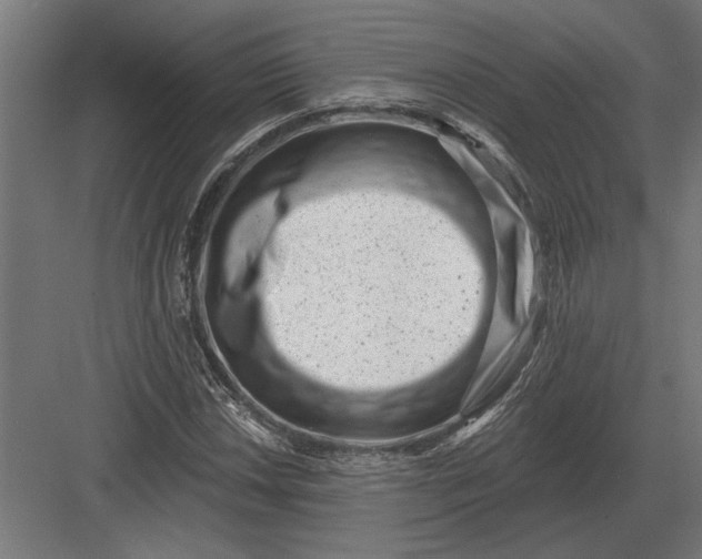 X0000082931018200702152142