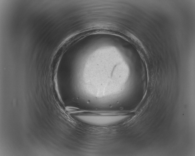 X0000082931019200702152142