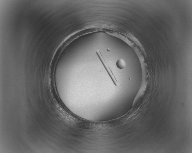 X0000082931020200702152142