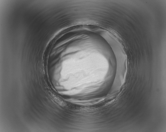 X0000082931022200702152142