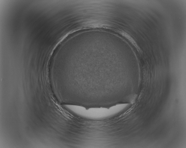 X0000082931023200702152142