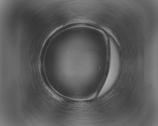 X0000082931024200702152142