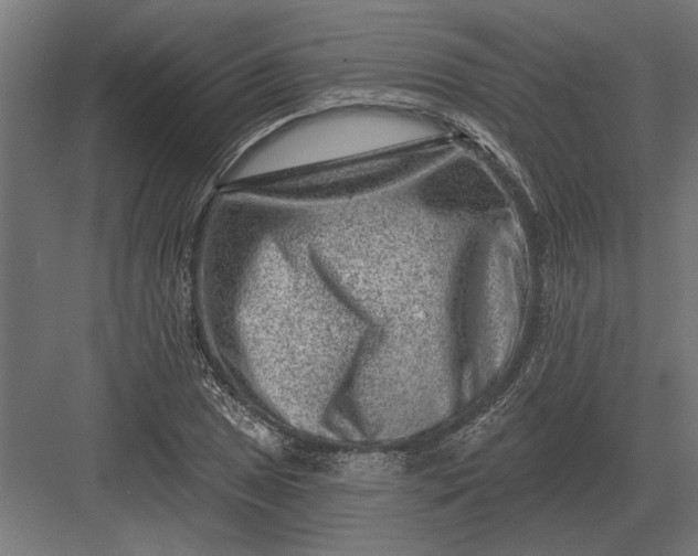 X0000082931025200702152142