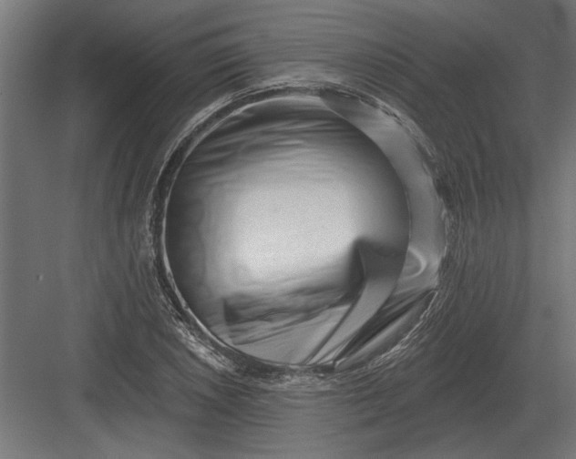 X0000082931026200702152142