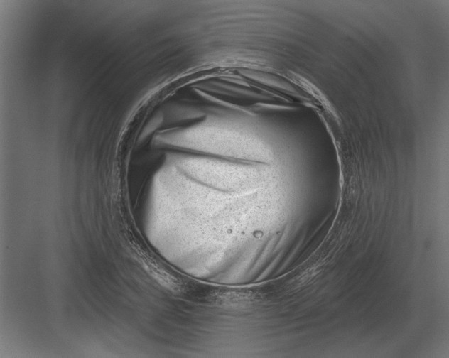 X0000082931027200702152142