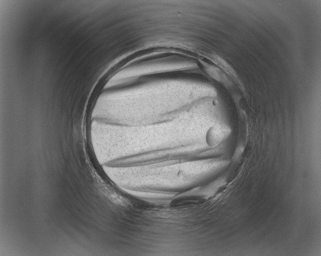 X0000082931028200702152142