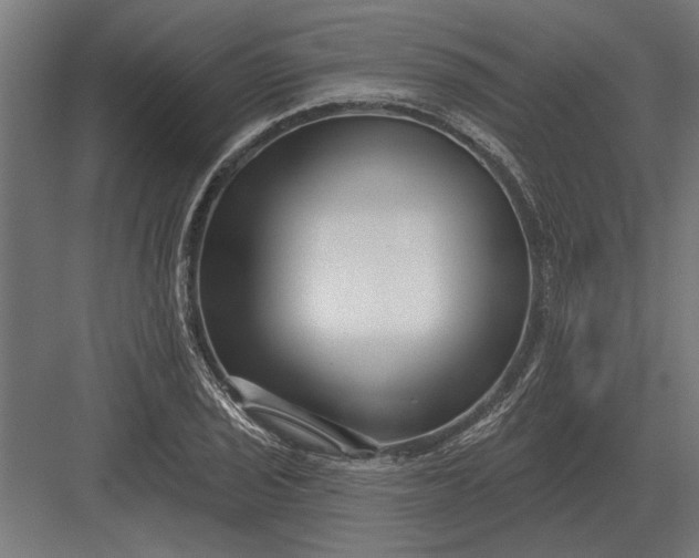 X0000082931029200702152142