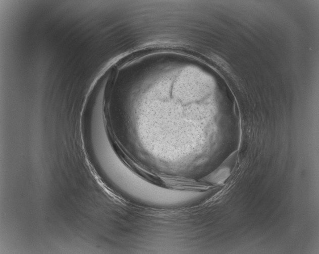 X0000082931030200702152142