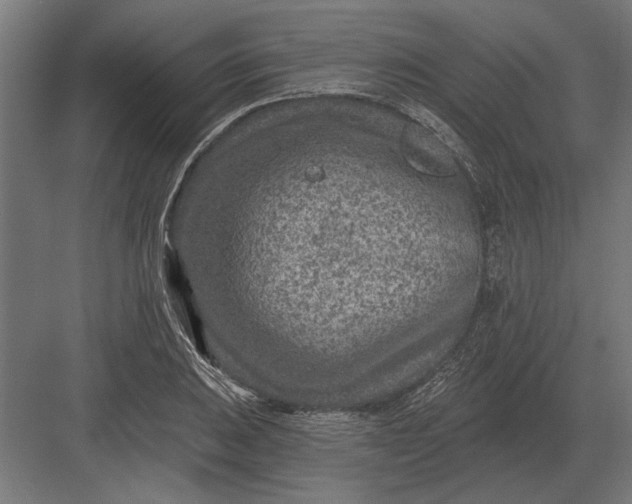 X0000082931031200702152142