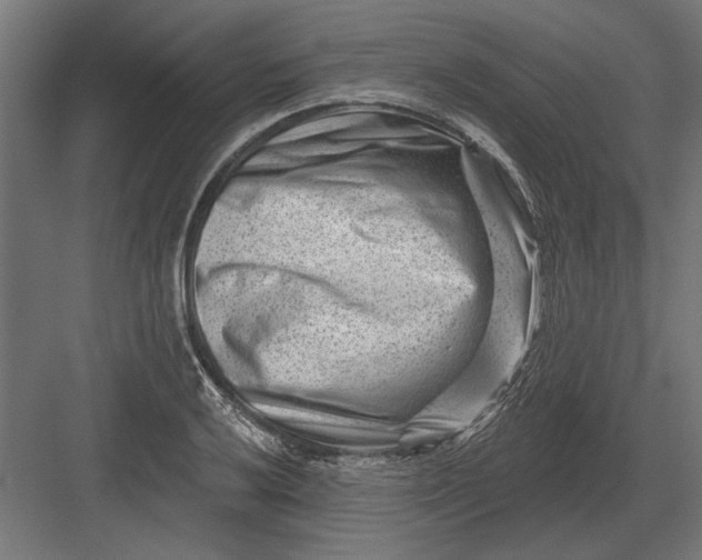 X0000082931032200702152142