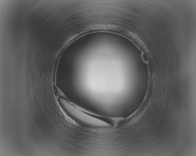 X0000082931033200702152142