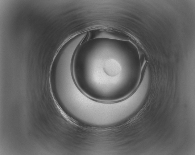 X0000082931034200702152142