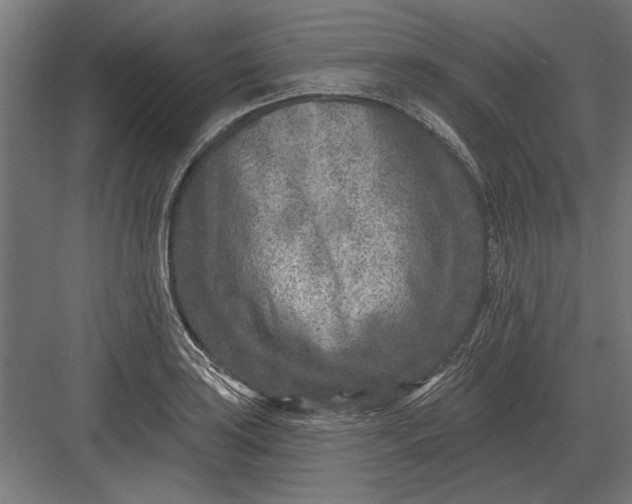 X0000082931035200702152142