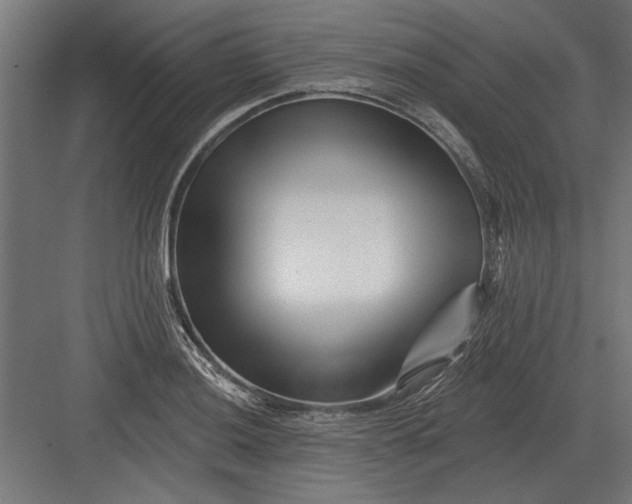 X0000082931036200702152142