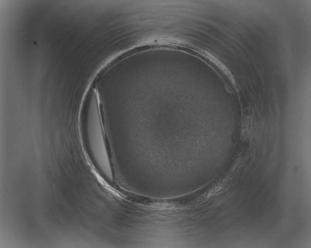 X0000082931037200702152142