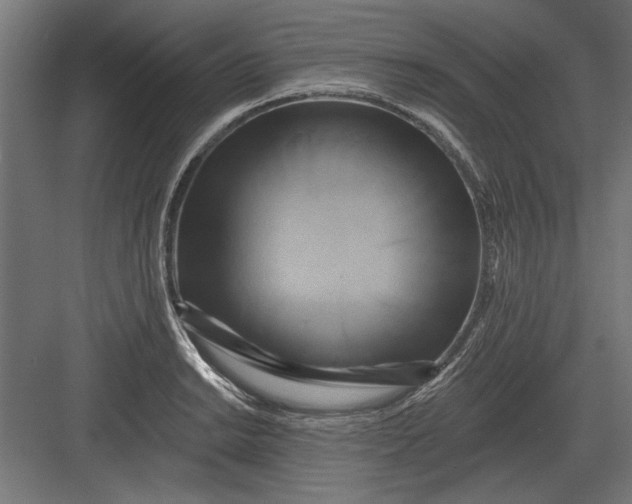 X0000082931038200702152142