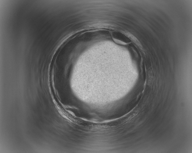 X0000082931039200702152142