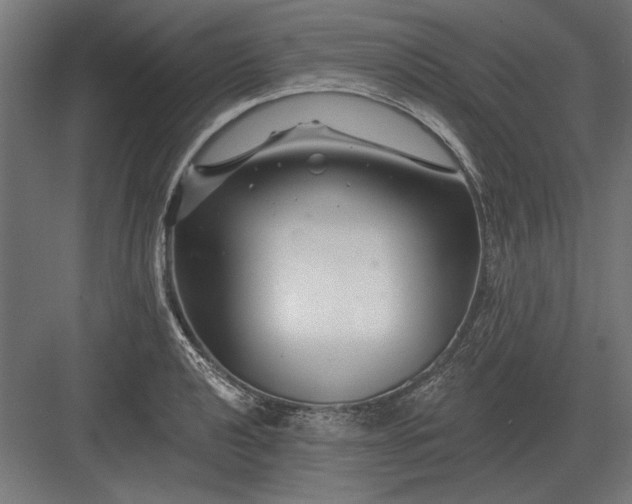 X0000082931040200702152142