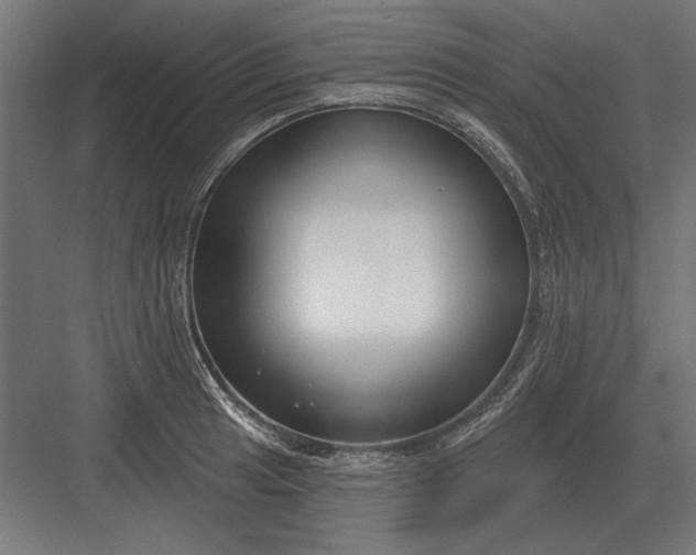 X0000082931041200702152142