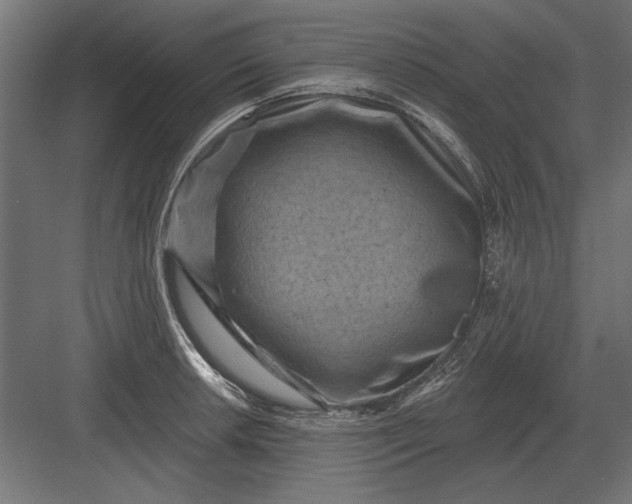 X0000082931042200702152142