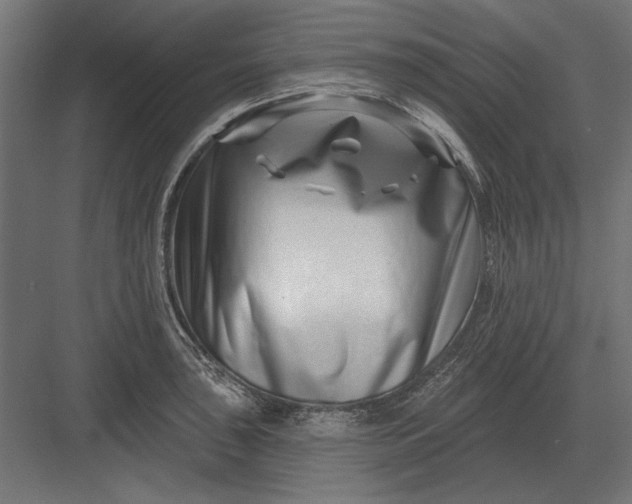 X0000082931043200702152142