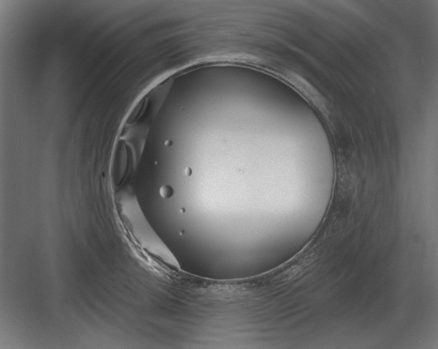 X0000082931044200702152142