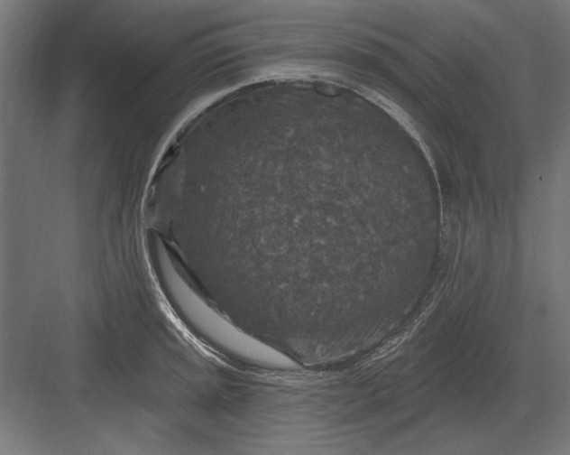 X0000082931045200702152142