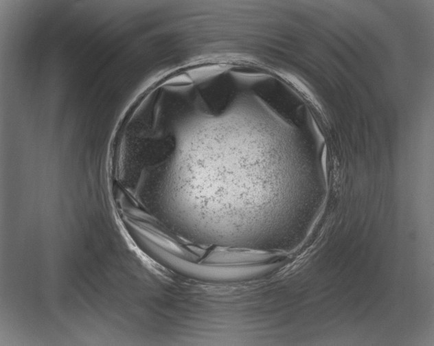 X0000082931046200702152142