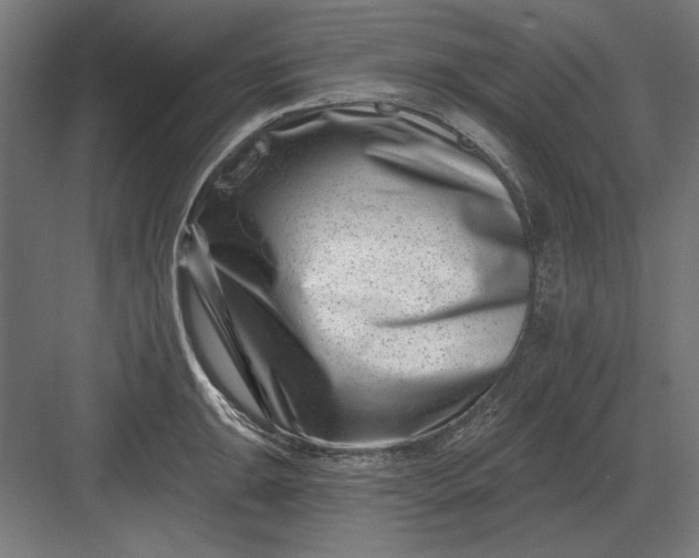 X0000082931047200702152142