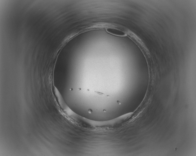 X0000082931049200702152142