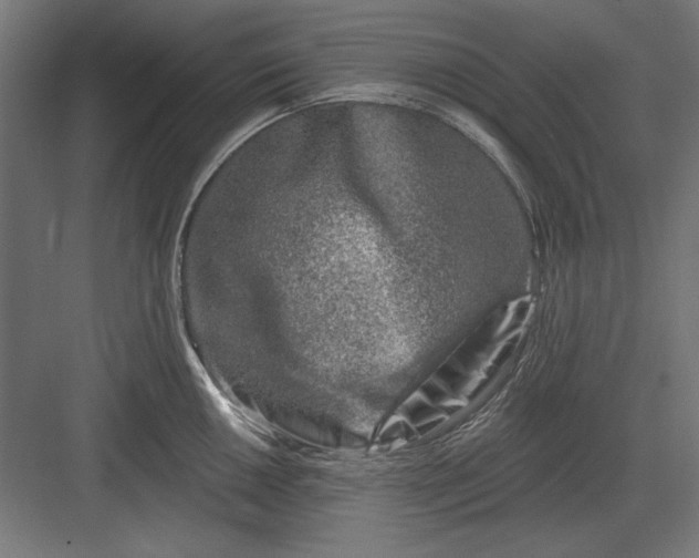 X0000082931050200702152142