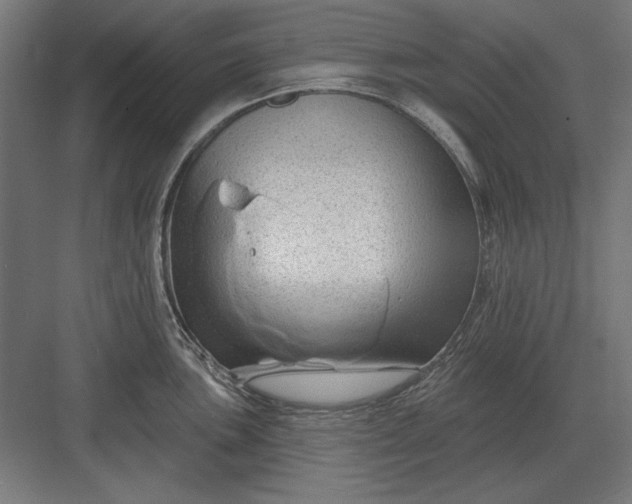 X0000082931051200702152142