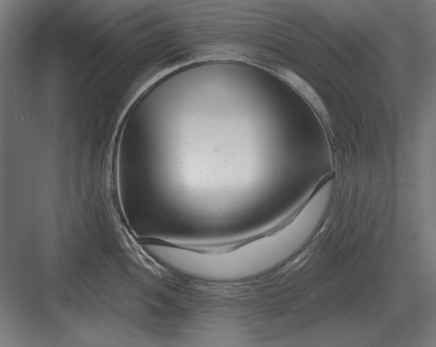 X0000082931052200702152142