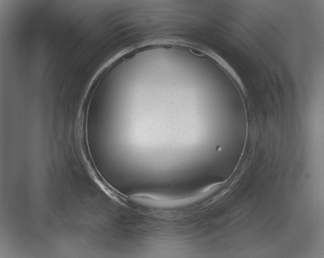 X0000082931053200702152142