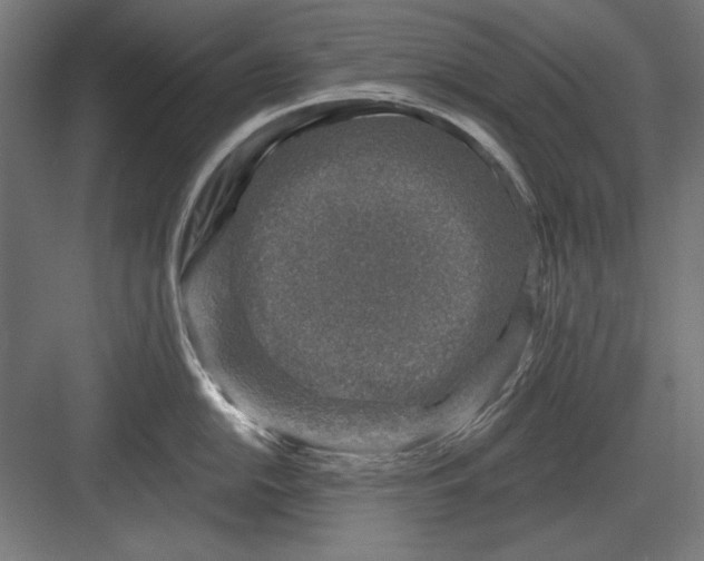 X0000082931054200702152142