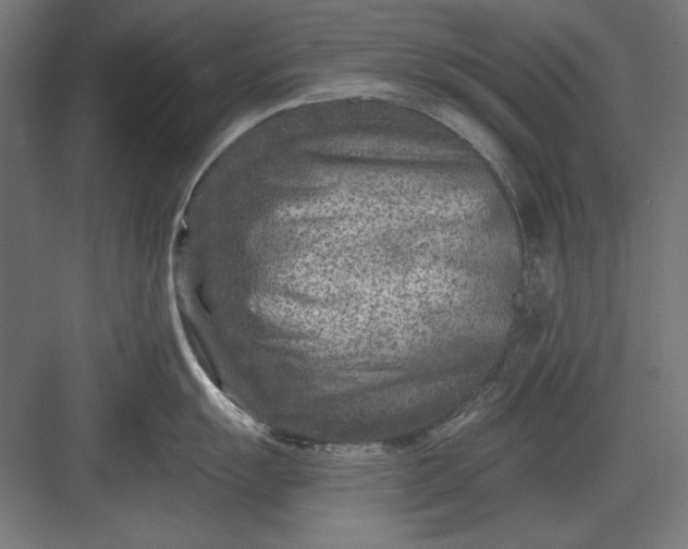 X0000082931055200702152142