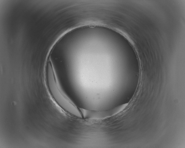 X0000082931056200702152142