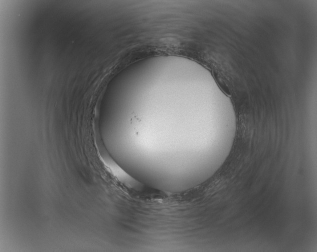 X0000082931057200702152142