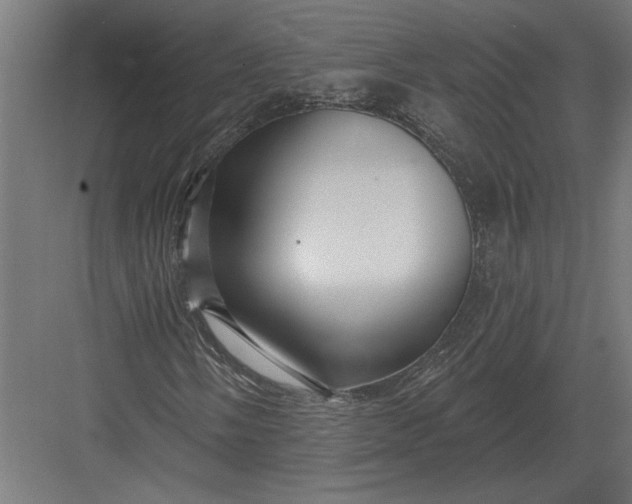 X0000082931058200702152142