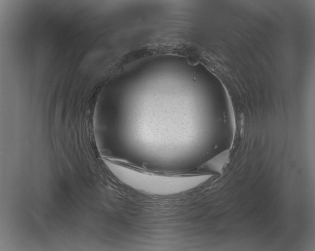 X0000082931059200702152142