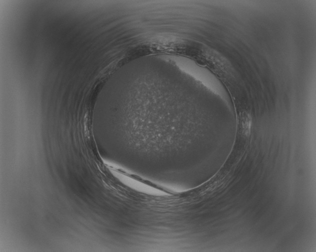 X0000082931060200702152141