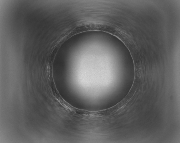 X0000082931061200702152141