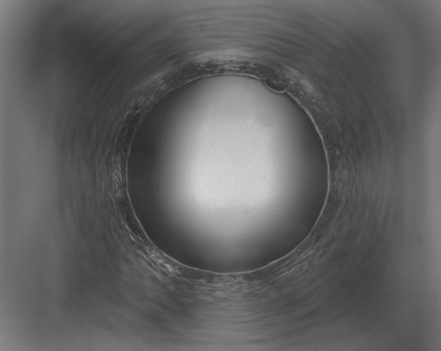 X0000082931062200702152141