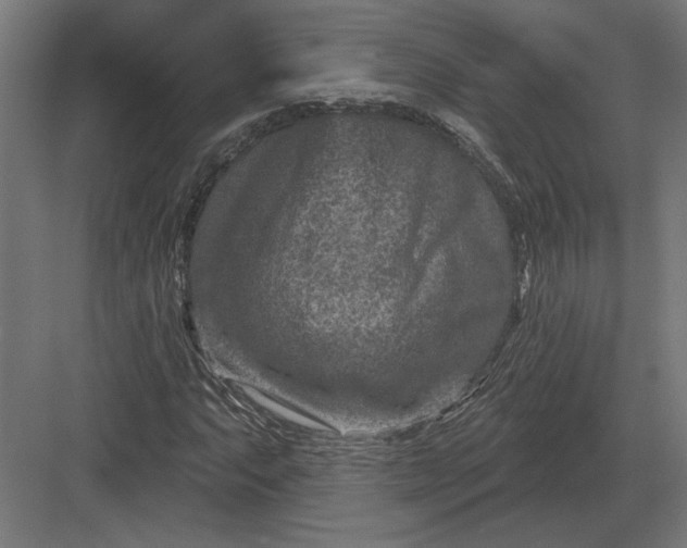 X0000082931063200702152141