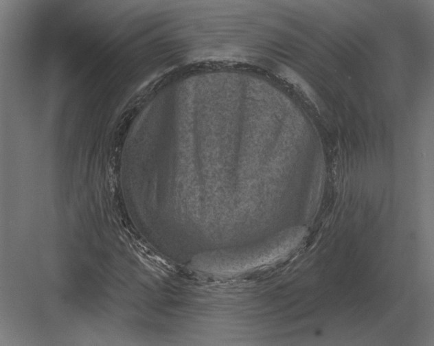 X0000082931064200702152141