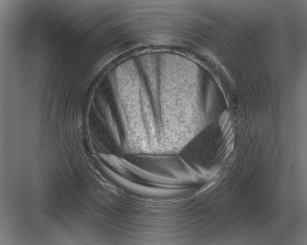 X0000082931065200702152141