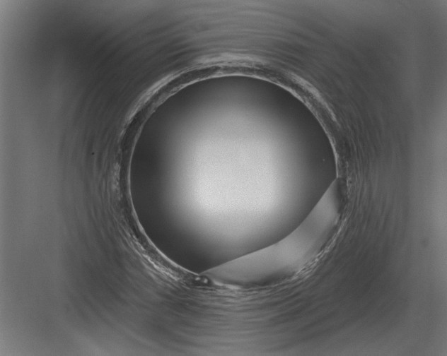 X0000082931066200702152141