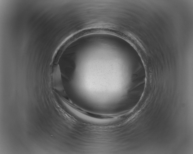 X0000082931069200702152141