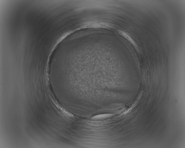 X0000082931071200702152141