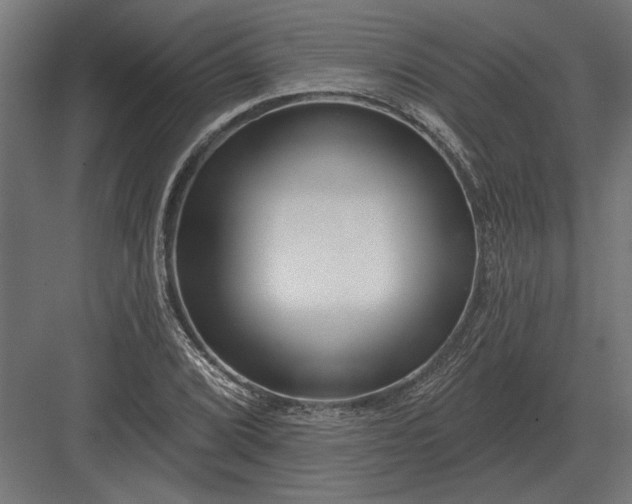 X0000082931072200702152141